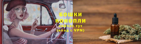 мдпв Бронницы