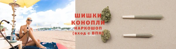 мдпв Бронницы