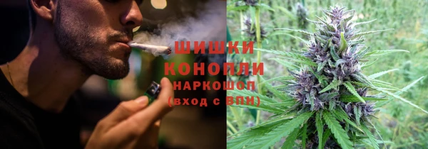 ПСИЛОЦИБИНОВЫЕ ГРИБЫ Волосово
